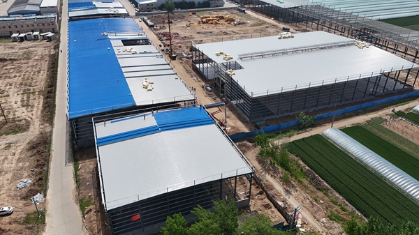 钢结构网架厂家