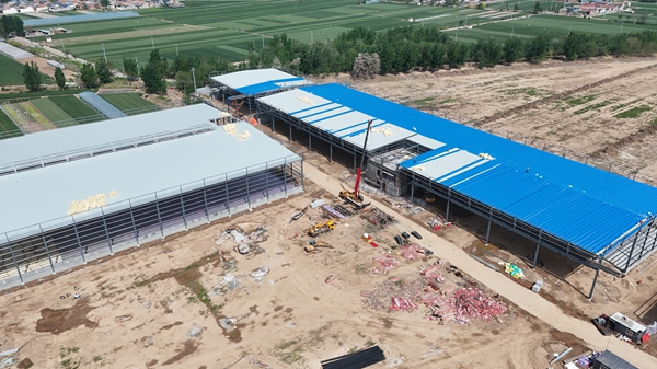 厂房钢结构网架