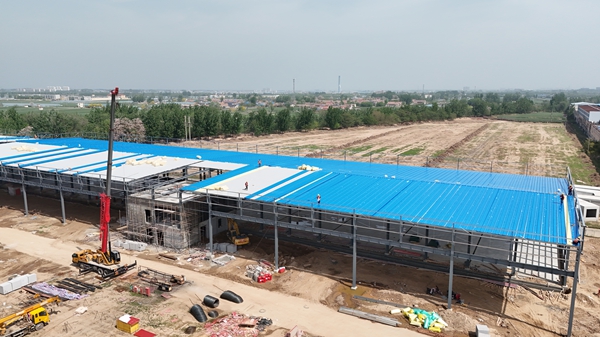 钢结构网架设计